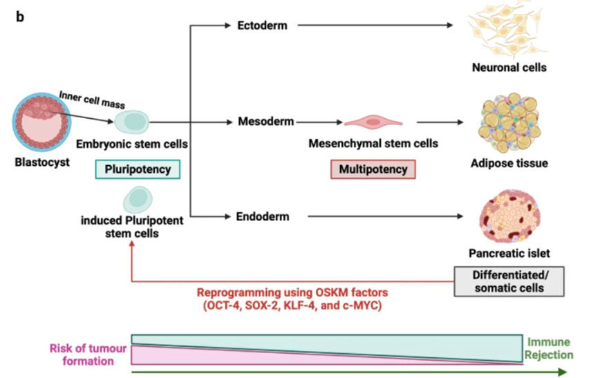 1693881818811.png 640 (2).png