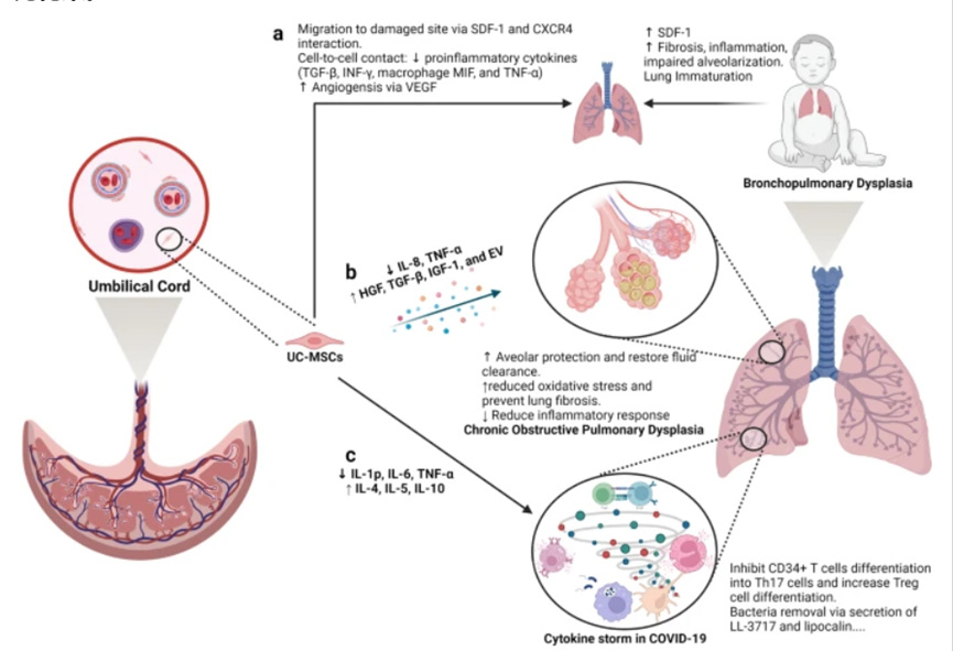 1693881886353.png 640 (5).png