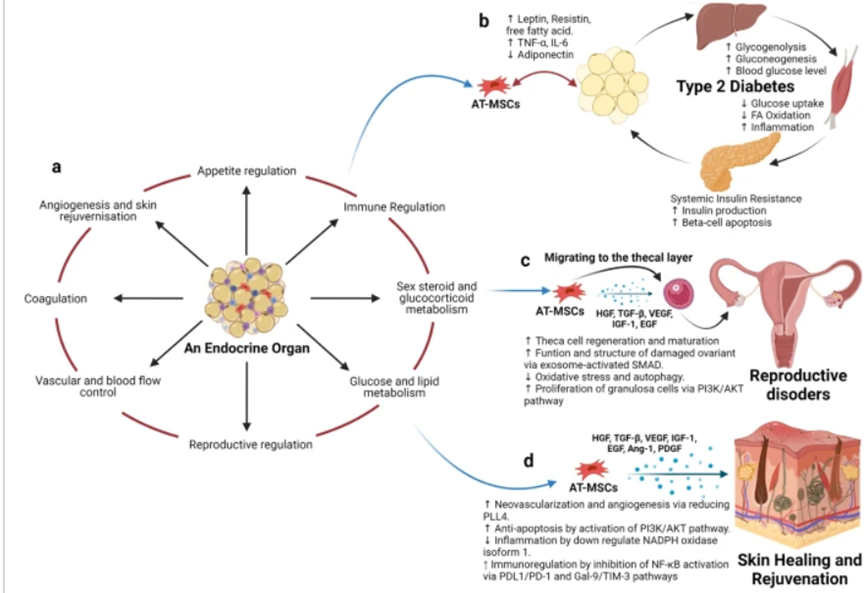 1693881959932.png 640 (6).png