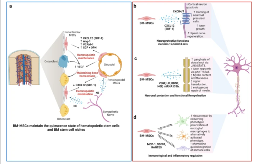 1693882007458.png 640 (7).png