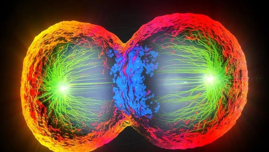 1697615949471.jpg 11.jpg