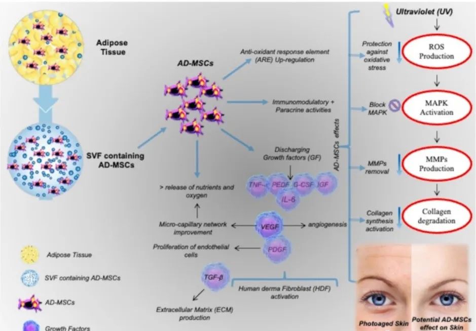 1697616082701.jpg 14.jpg