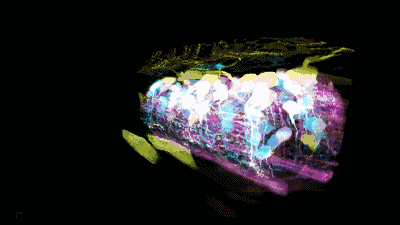 1697616888245.gif 1697616888245.gif