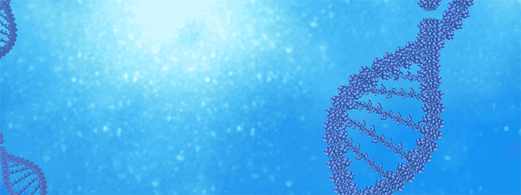 1697616967483.gif 1697616967483.gif