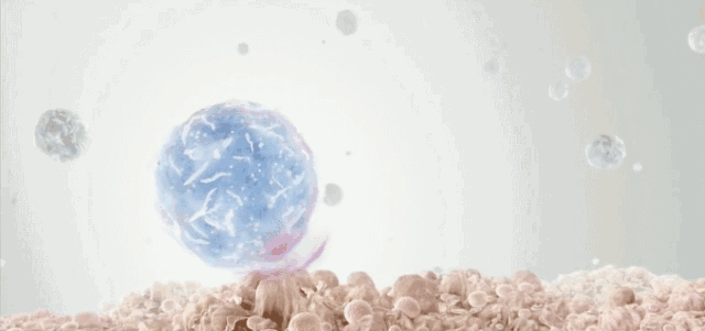 1697617004968.gif 1697617004968.gif