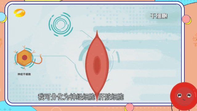 1697684647471.gif 1697684647471.gif