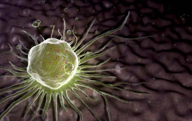 1697696364301.png 1697696364301.png