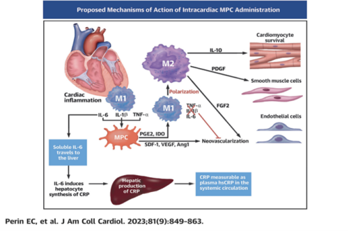 1698307823963.png 1698307823963.png