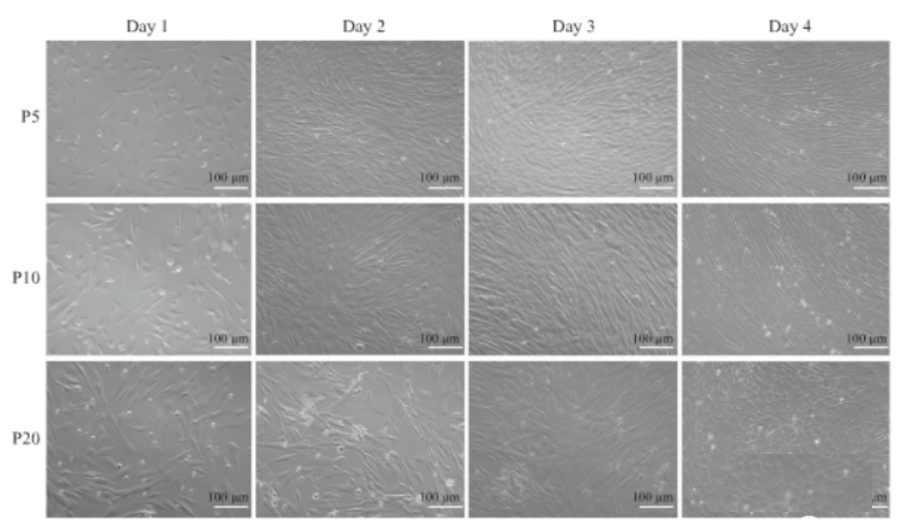 1698308392662.png 1698308392662.png