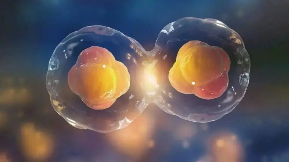 1699415206106.jpg 1699415206106.jpg