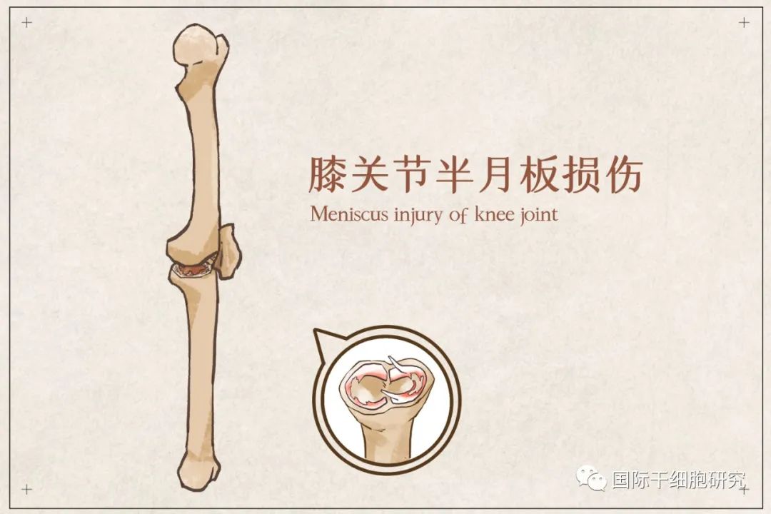 1701151735965.jpg 2.jpg