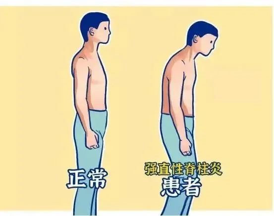 1701155250990.png 1701155250990.png