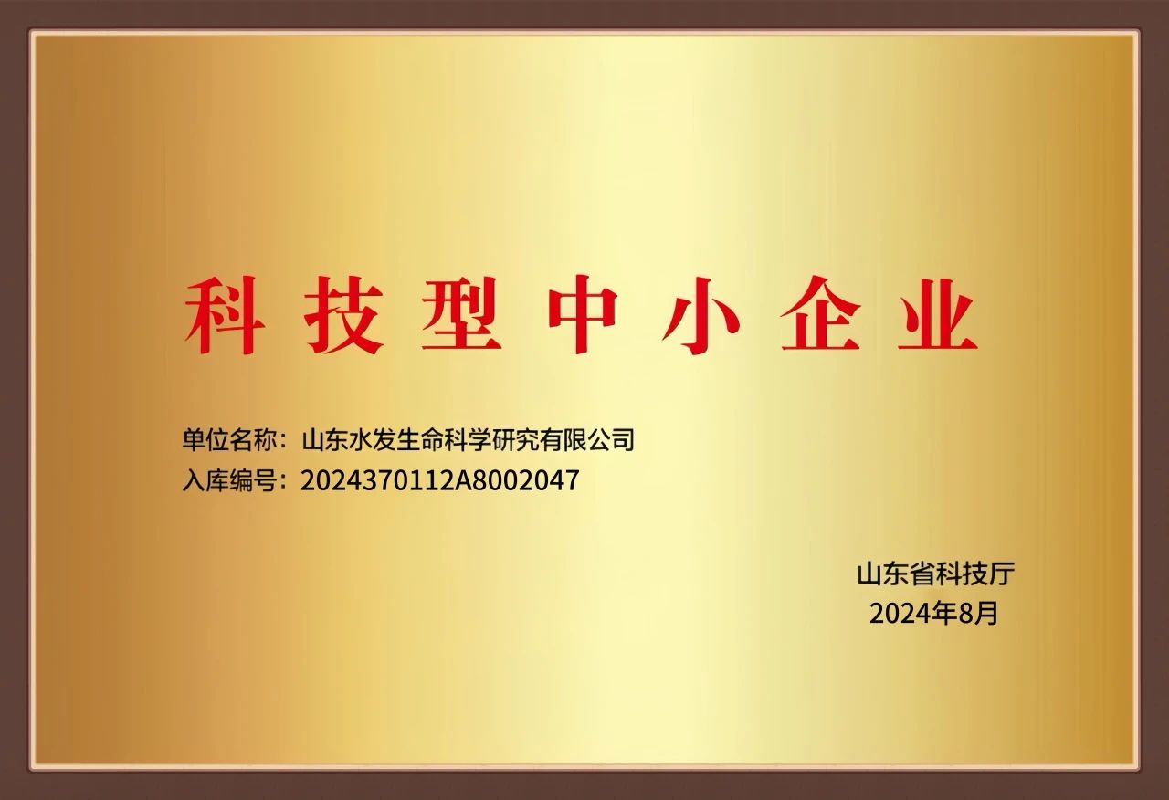 1730478429203.jpg 5.jpg